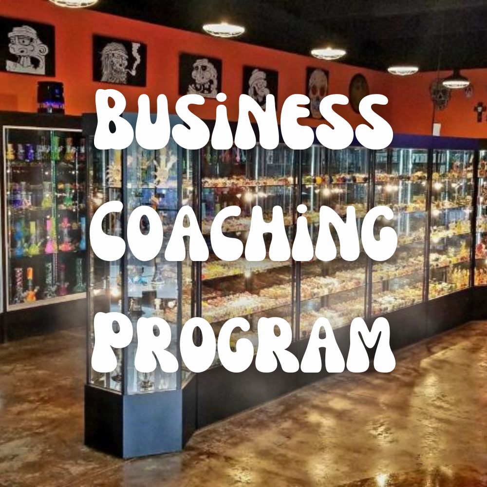 Business Coaching Program
