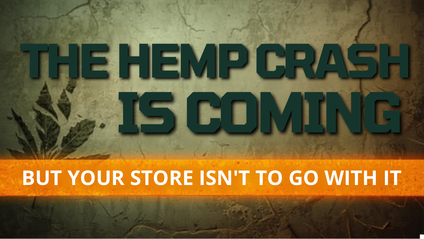THE HEMP CRASH IS COMING — BUT YOUR STORE DOESN’T HAVE TO GO WITH IT