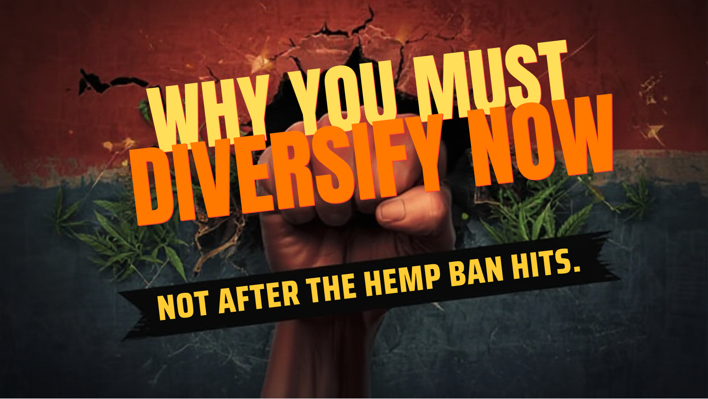 WHY YOU MUST DIVERSIFY NOW: NOT AFTER THE HEMP BAN HITS