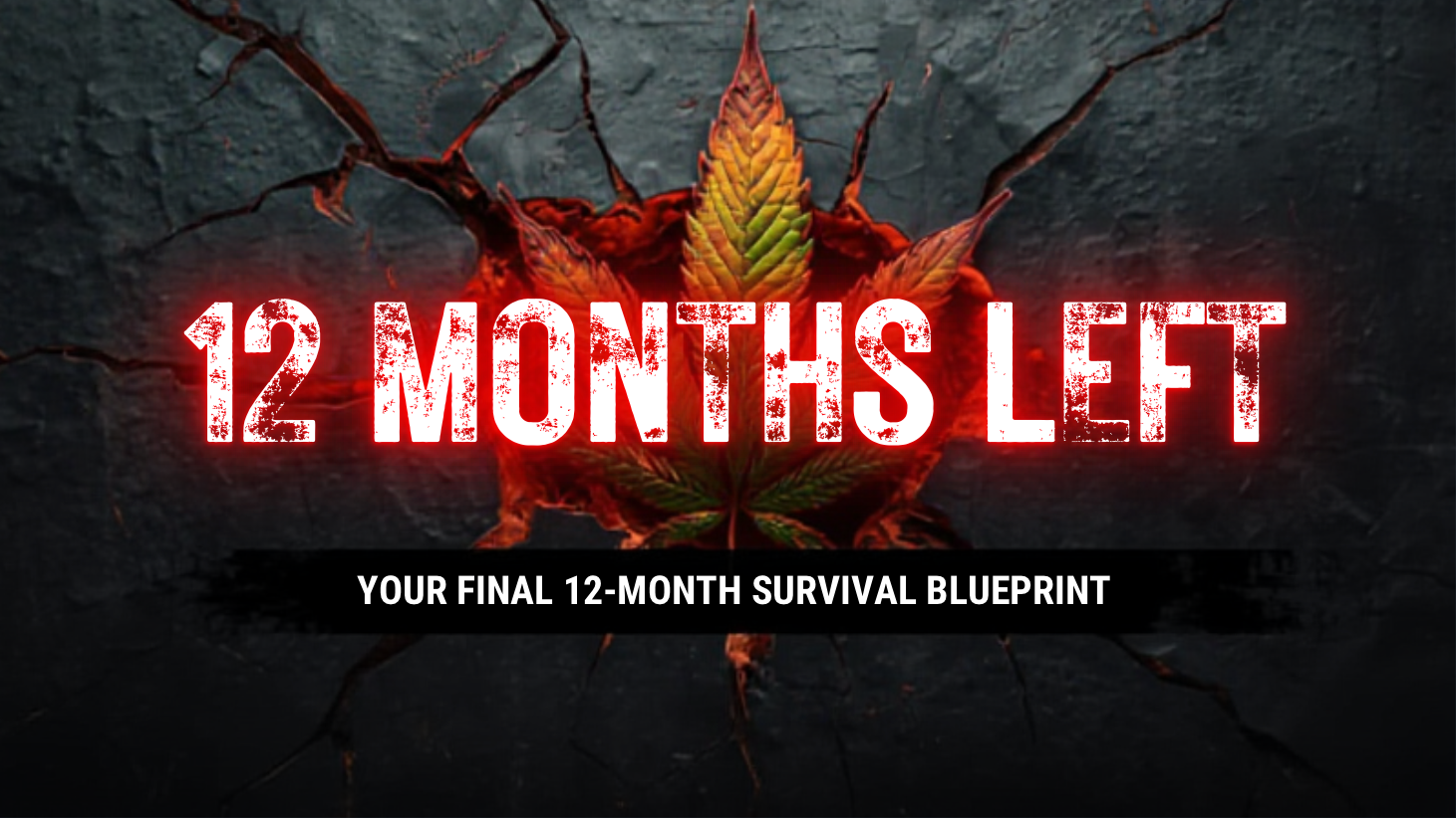 THE LAST YEAR OF INTOXICATING HEMP: YOUR FINAL 12-MONTH SURVIVAL BLUEPRINT