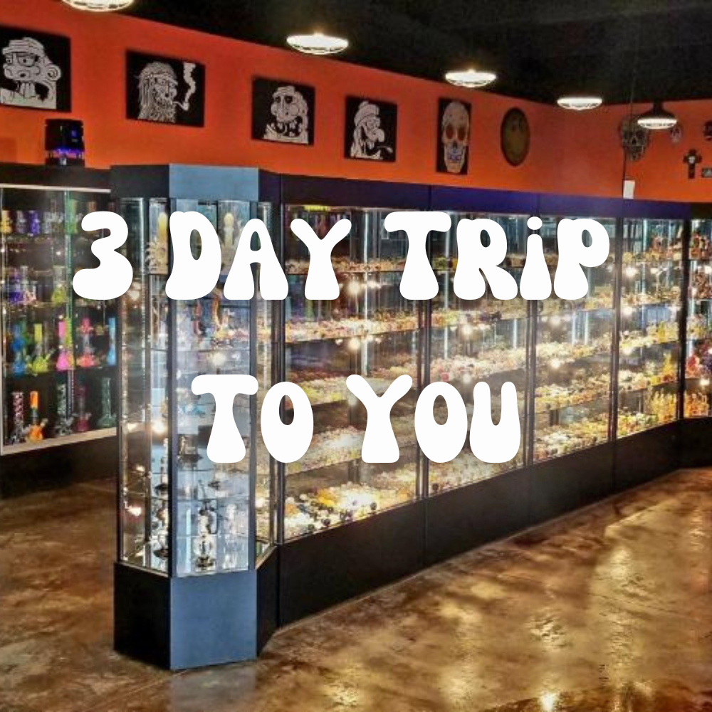 3-Day Trip to You